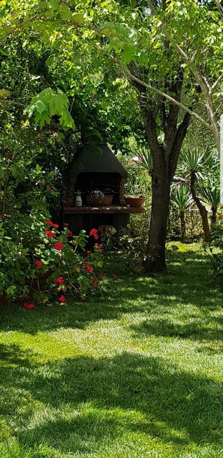 La Casa Di Laura Apartment Tortoli Bagian luar foto